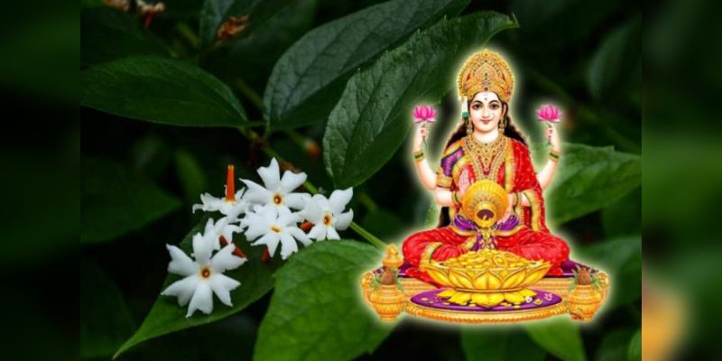 Friday Lakshmi Puja