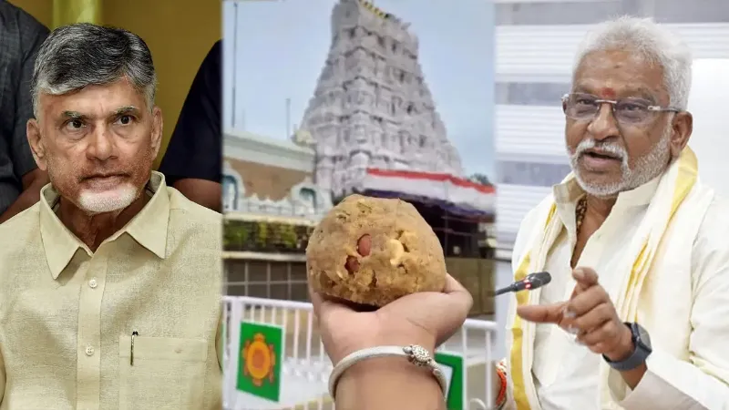 Tirupati Laddu Controversy: तिरुपति लड्डू में मिली बीफ की चर्बी, जांच में हुआ चौंकाने वाला खुलासा